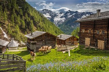 Huts on the Oberstalleralm (1,870 m) in the rear Villgratental valley, East Tyrol by Christian Müringer