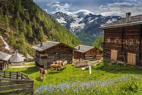 Hutten op de Oberstalleralm (1.870 m) in het achterste Villgratental, Oost-Tirol