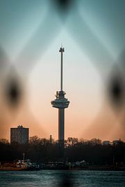 The Euromast to frame by Marcel Kool