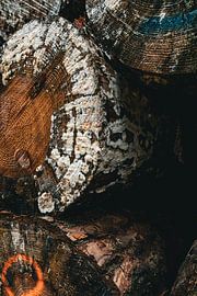 Close-up of mould on stacked logs by Charlotte Hagg
