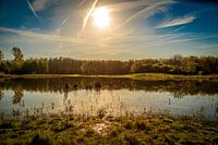 Oostvaardersplassen