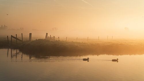 Voordeur Ochtendshow van Steffon Reid