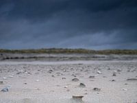 Onheilspellend schelpen strand