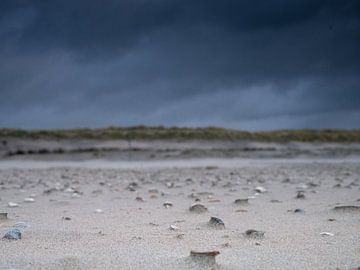 Onheilspellend schelpen strand sur Matthijs Noordeloos