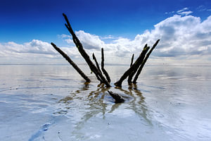 Wadden Meer, die Niederlande.