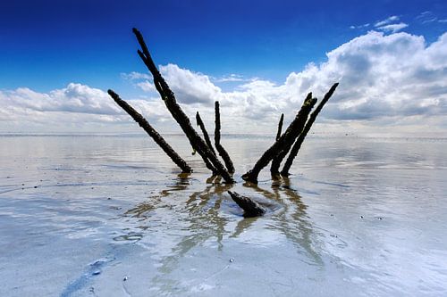Mer des Wadden, les Pays-Bas.