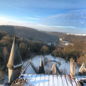 View from the castle von Monique Jouvenaar