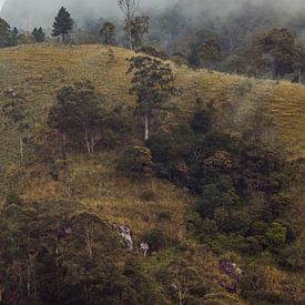 Foggy mountains by Rebecca Gruppen