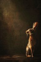 Fineart - Haas in het licht