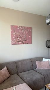 Fleur d'amandier par Vincent van Gogh (rose)