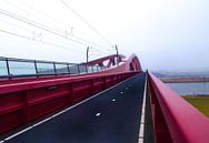 Pont à vélo ferroviaire Hattem- Zwolle par Ida Muller Aperçu