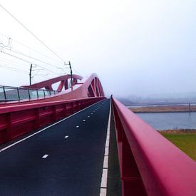 Pont à vélo ferroviaire Hattem- Zwolle sur Ida Muller