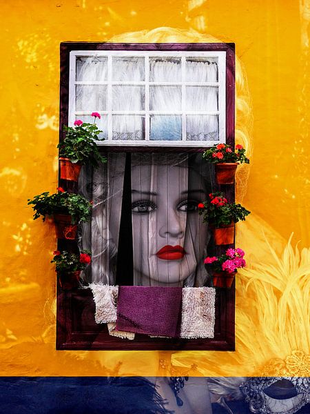 A beauty inside the window van Gabi Hampe