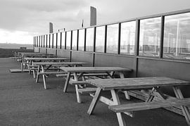 Terras by Martijn Alexander