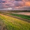 See the light, hear His voice by Sander Poppe