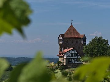 Burg Wildeck von Timon Schneider