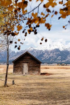 Wooden barn in autumn atmosphere with mountains in background by Myrthe Slootjes