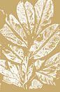 Weiße Blätter im Retro-Stil. Moderne botanische minimalistische Kunst in Gelb und Weiß von Dina Dankers Miniaturansicht