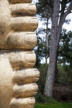 Les orteils dorés de Bouddha à côté d'un arbre au Portugal sur Tot Kijk Fotografie: natuur aan de muur