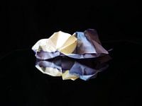 Gespiegelde paarse prop papier
