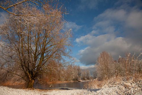landscape ripe in driesum friesland