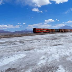 Trein door zoutvlakte van Iris Timmerman