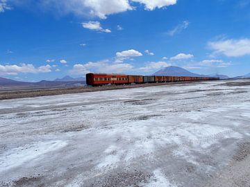 Train through the salt flats by Iris Timmerman