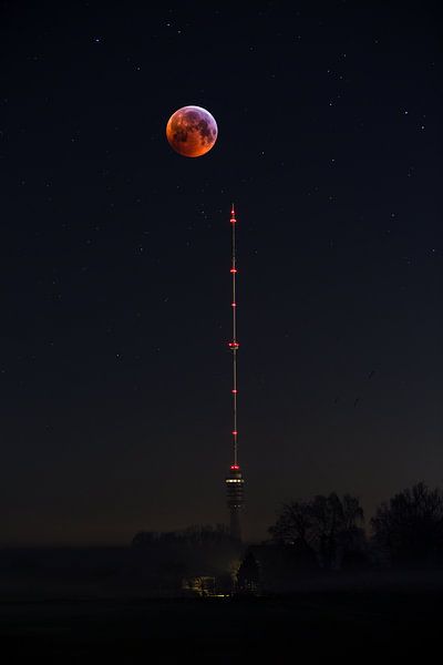 Bloedmaan 2019 van Chris de Gier