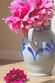 Picked by Trudy M. Simons-Pos