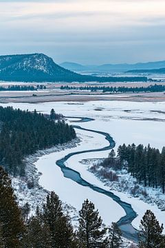 Winterlandschap met besneeuwde rivier van Poster Art Shop