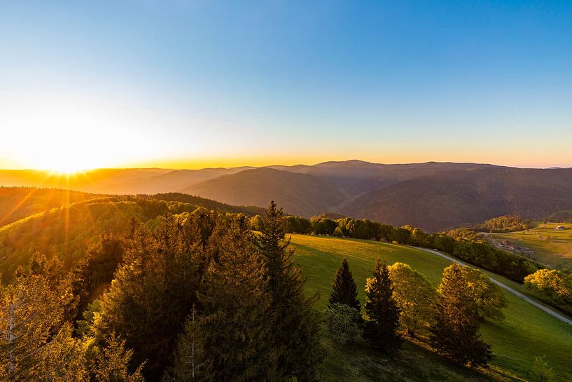 Sonnenaufgang am Schauinsland im Schwarzwald von Werner Dieterich