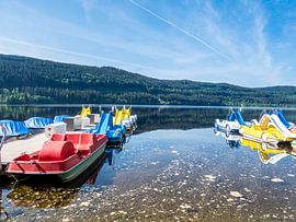 Ausflug am Titisee im Schwarzwald von Animaflora PicsStock