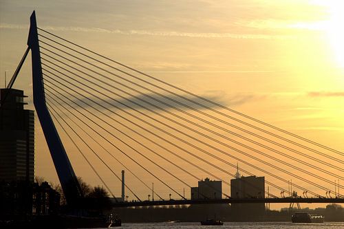Erasmusbrug in tegenlicht, 2014