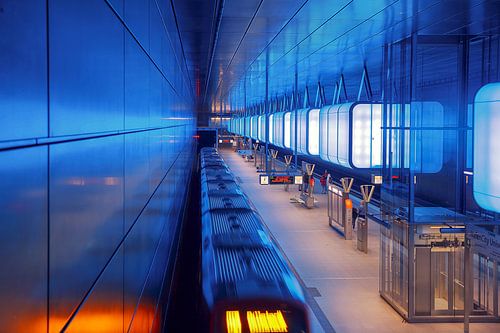 Trip into the Blue Hamburg