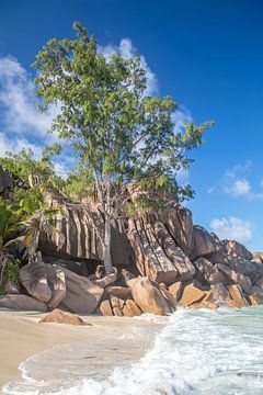 Grand Anse Beach - La Digue (Seychellen) von t.ART