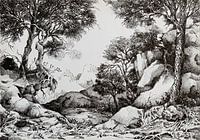 Zwart-wit pen en inkttekening - Rotsen en bomen