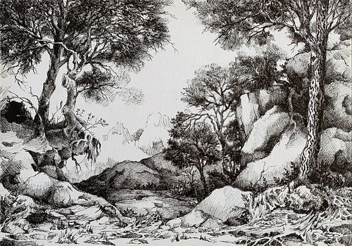 Zwart-Wit Grafiek: Landschap van Rotsen en Oerbos van Levente Luca