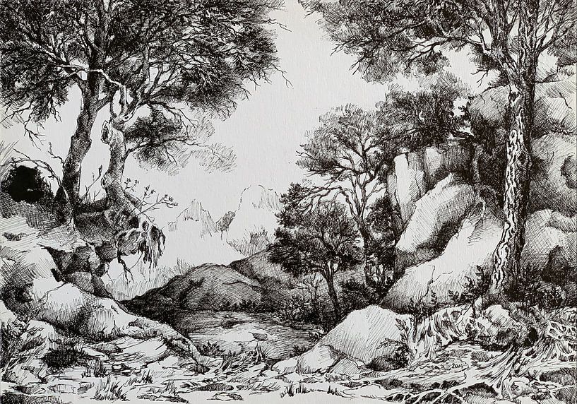 Black-and-white pen and ink drawing - Rocks and trees by Levente Luca