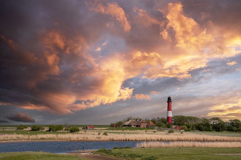 Leuchtturm, Pellworm, Nordfriesland, Deutschland von Alexander Ludwig