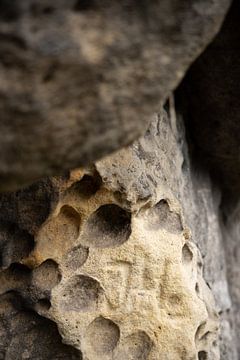 Frienstein ascent, Saxon Switzerland - Honeycomb weathering by Pixelwerk