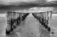 Westerschelde paaltjes in Breskens van Ingrid Van Damme fotografie thumbnail