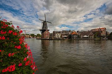 Haarlem in North Holland by Tanja Voigt