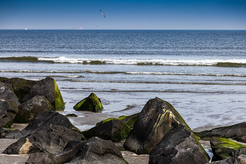 Beach with boulders Corner of Holland by Carin IJpelaar