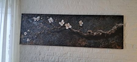 Oud hout bonsai almondbloesem stilleven tak donker panorama