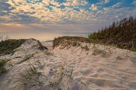 Beach at the coast of the Baltic Sea near Graal Müritz by Rico Ködder