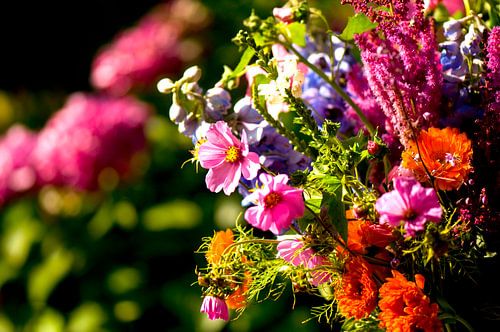 bouquet with summer flowers outdoor in the sun