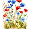 Entre les coquelicots rouges, les bleuets et les tiges (2 de 3) sur AidasignArt