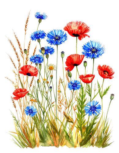 Entre les coquelicots rouges, les bleuets et les tiges (2 de 3) sur AidasignArt
