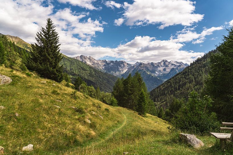 Italienische Alpen, Adamello-Gruppe von Martijn Joosse