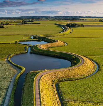 Wielen bij de Westfriese Omringdijk van Menno Schaefer